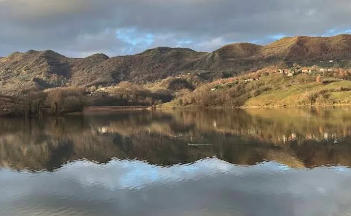 Mountain View Cabin 2