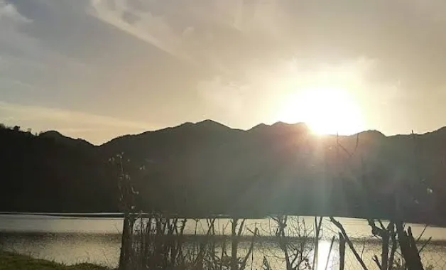 Mountain View Cabin 5